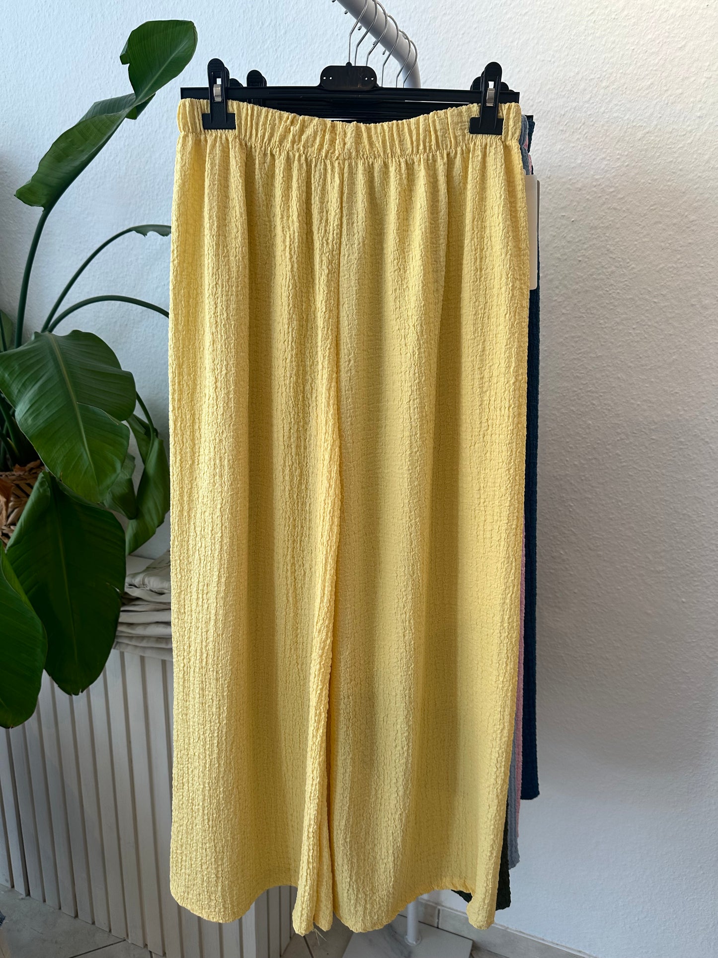 Hose