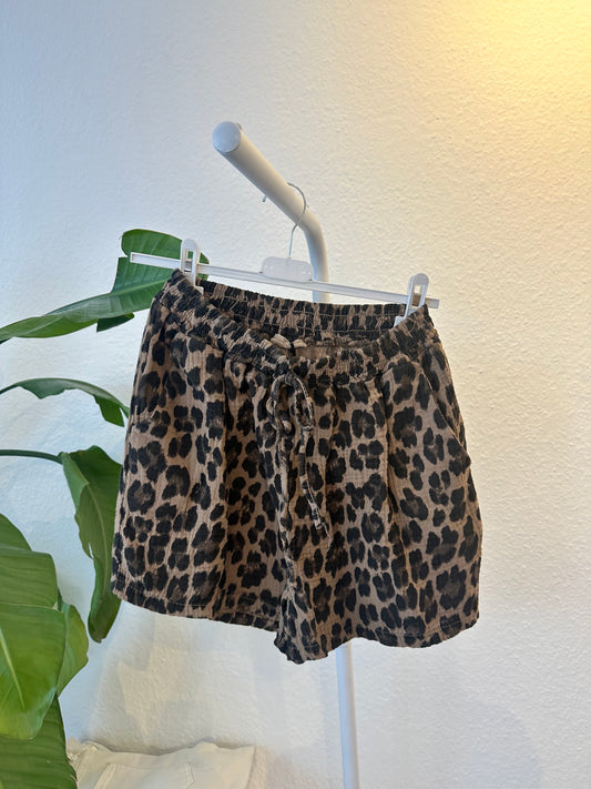 Leo Shorts Vers. Farben